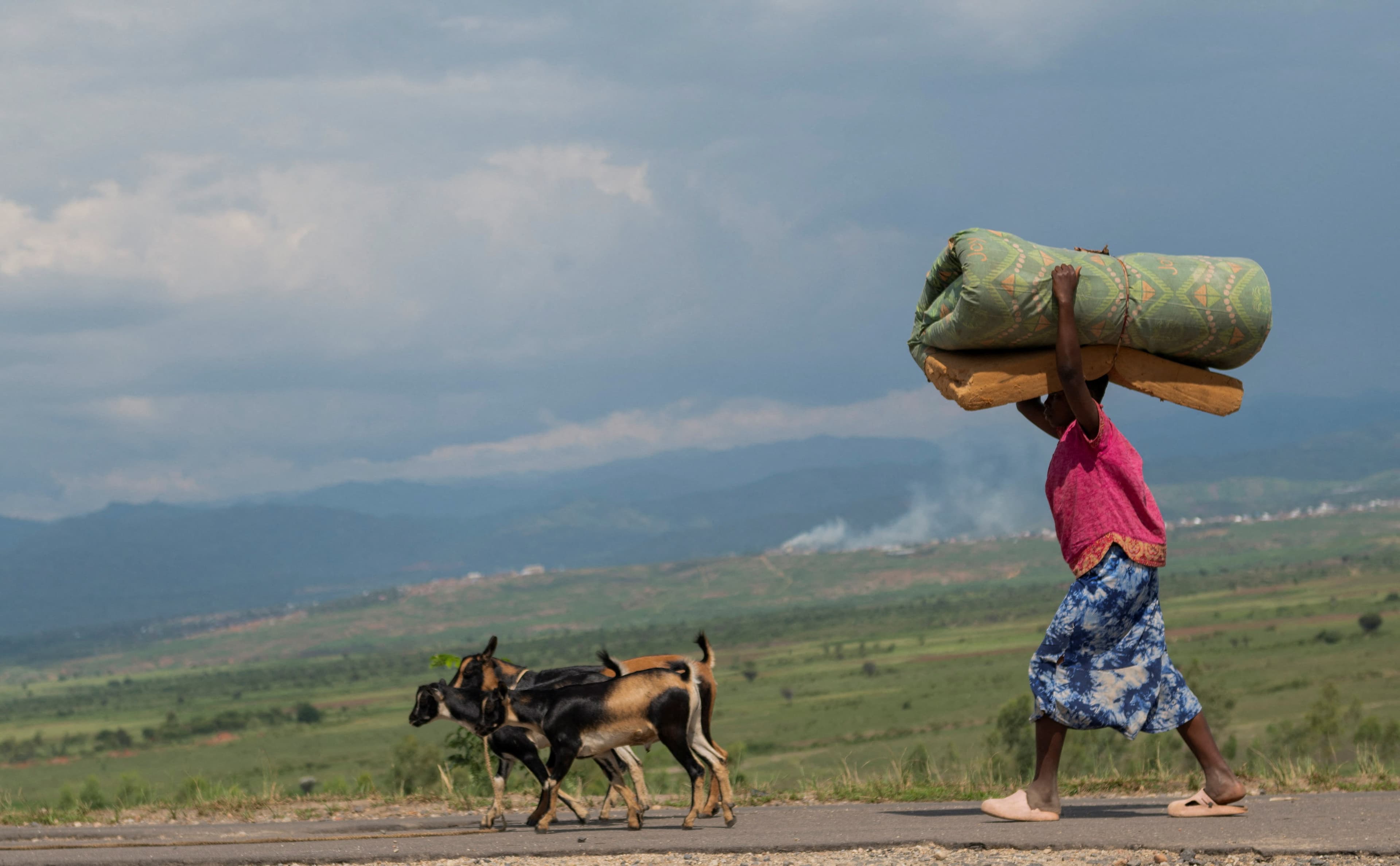 Madison Square Garden Concert